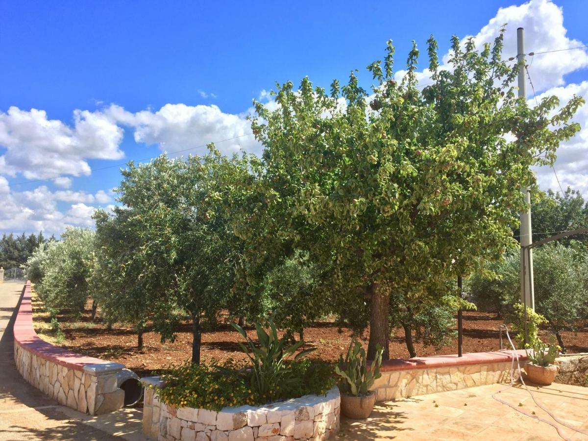 I Trulli Di Gina Appartamento Trullo 6 Persone Монополі Екстер'єр фото